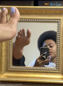 11306550