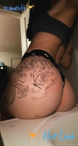 11688281