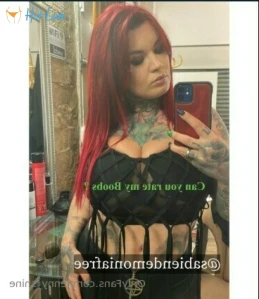 11254100
