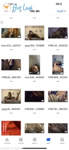 4286281