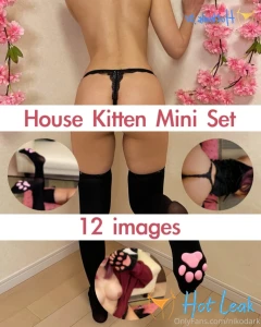 11687721