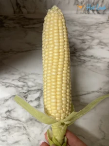 10983669