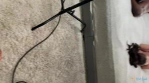 10954743