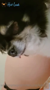 10805145