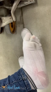10804431