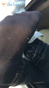 10804444
