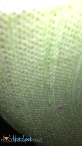 10804454
