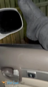 10804459