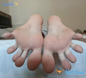 11872709