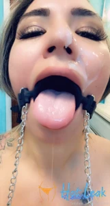11687696