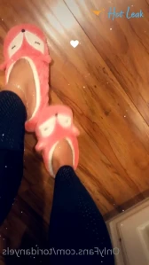 10797631