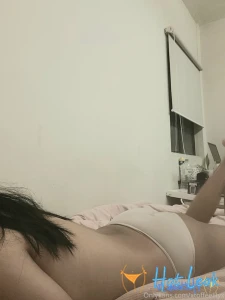 11556356