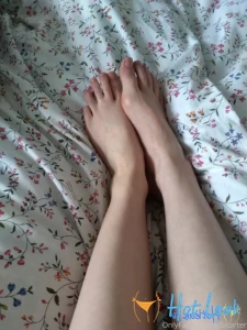 11654163