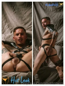 11775573