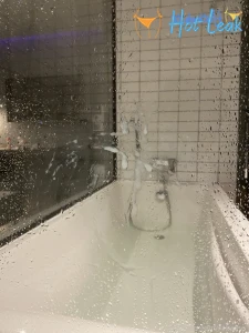 11782076