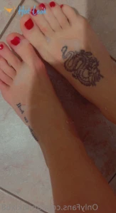 11343709