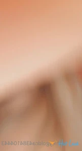 11079617