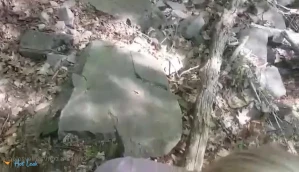 11079694