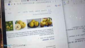 9503953