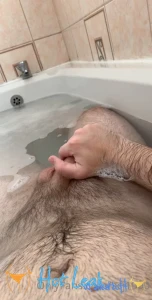 11686798
