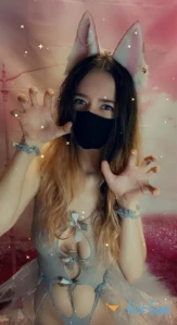 11384625