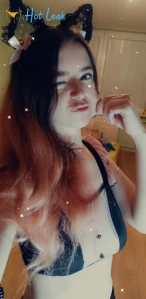 11384670