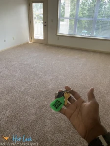 11337948