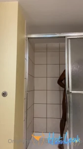 11434004