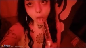 11035216
