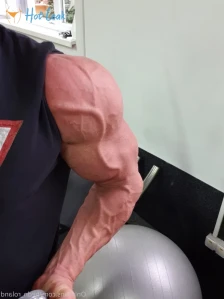 11329480