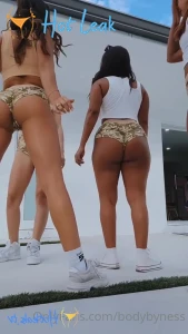11806772