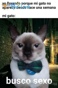 11765898