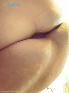 11323679
