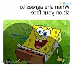 11323501