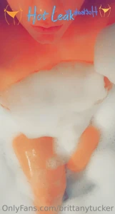 11505616