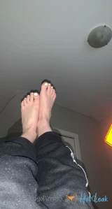 11319959
