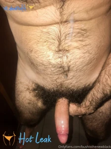 11656644