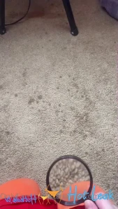 11620265