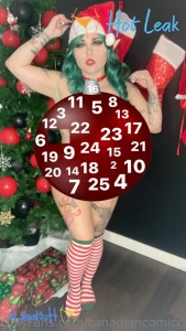 11788207