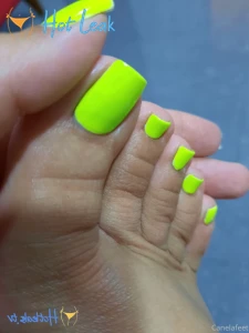 11668343