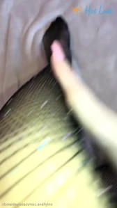 11403293