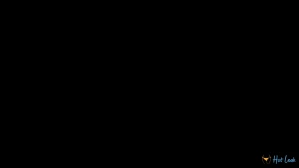 11403294