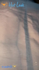 11926493