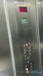 9494562