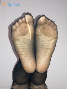 11268059