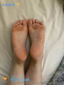 11693486