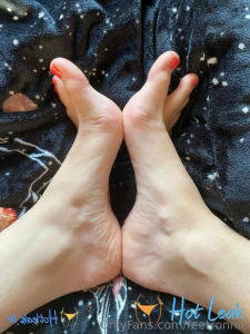 11917317