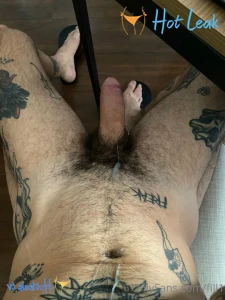 11683003
