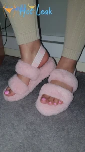 11554699
