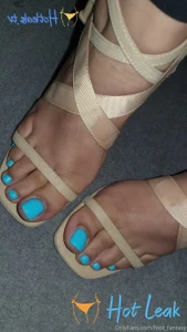 11554809